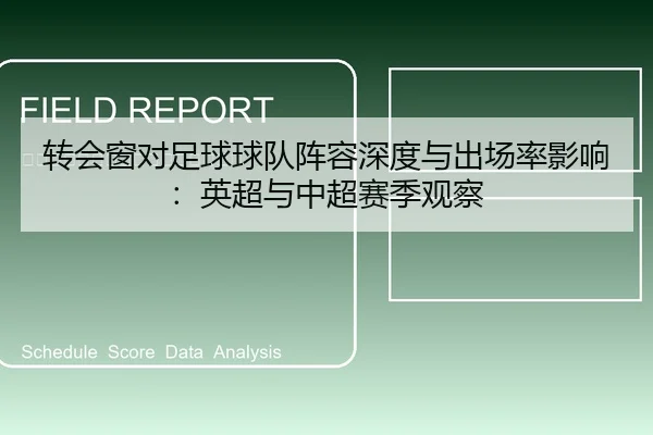 转会窗对足球球队阵容深度与出场率影响：英超与中超赛季观察